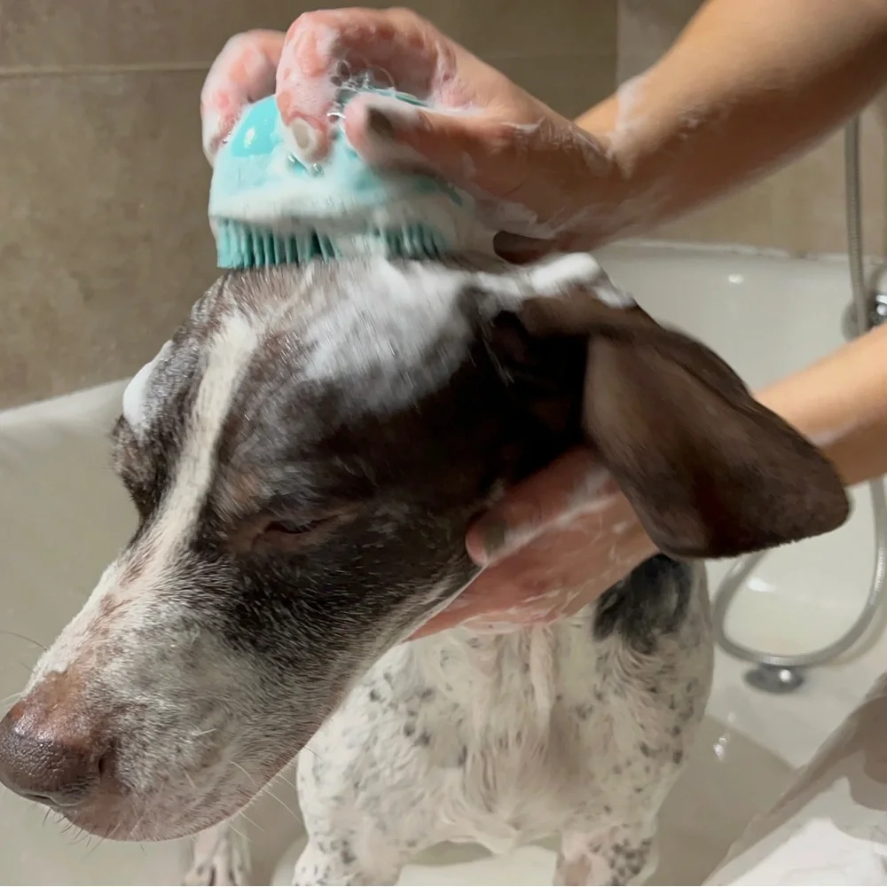 Silicone Bath Brush with Build in Container